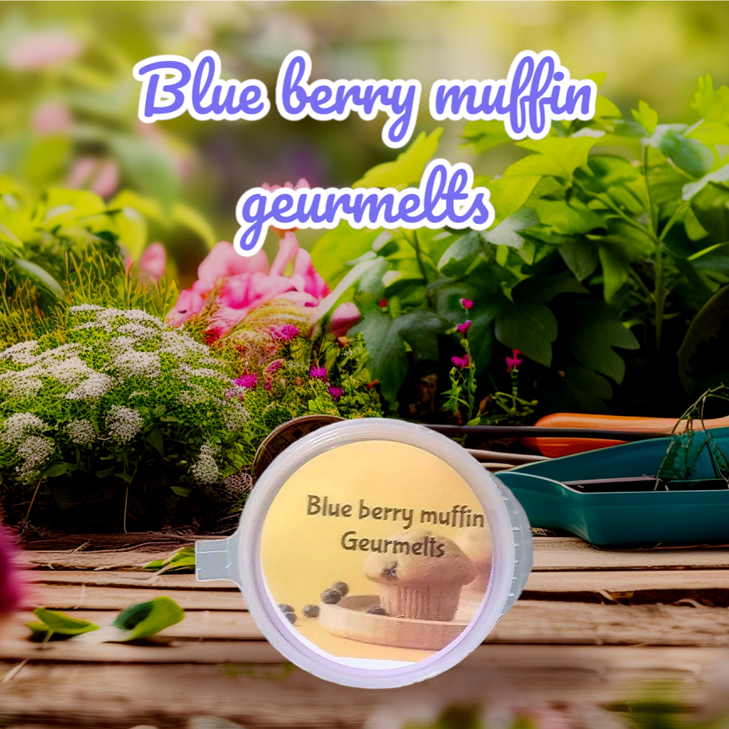Blue berry muffin geurmelts/scents