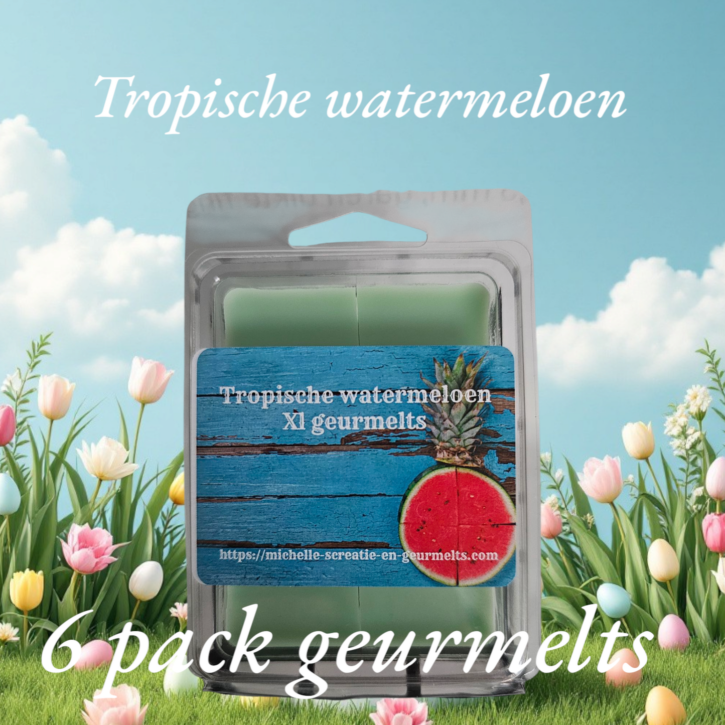 Tropische watermeloen 6-pack