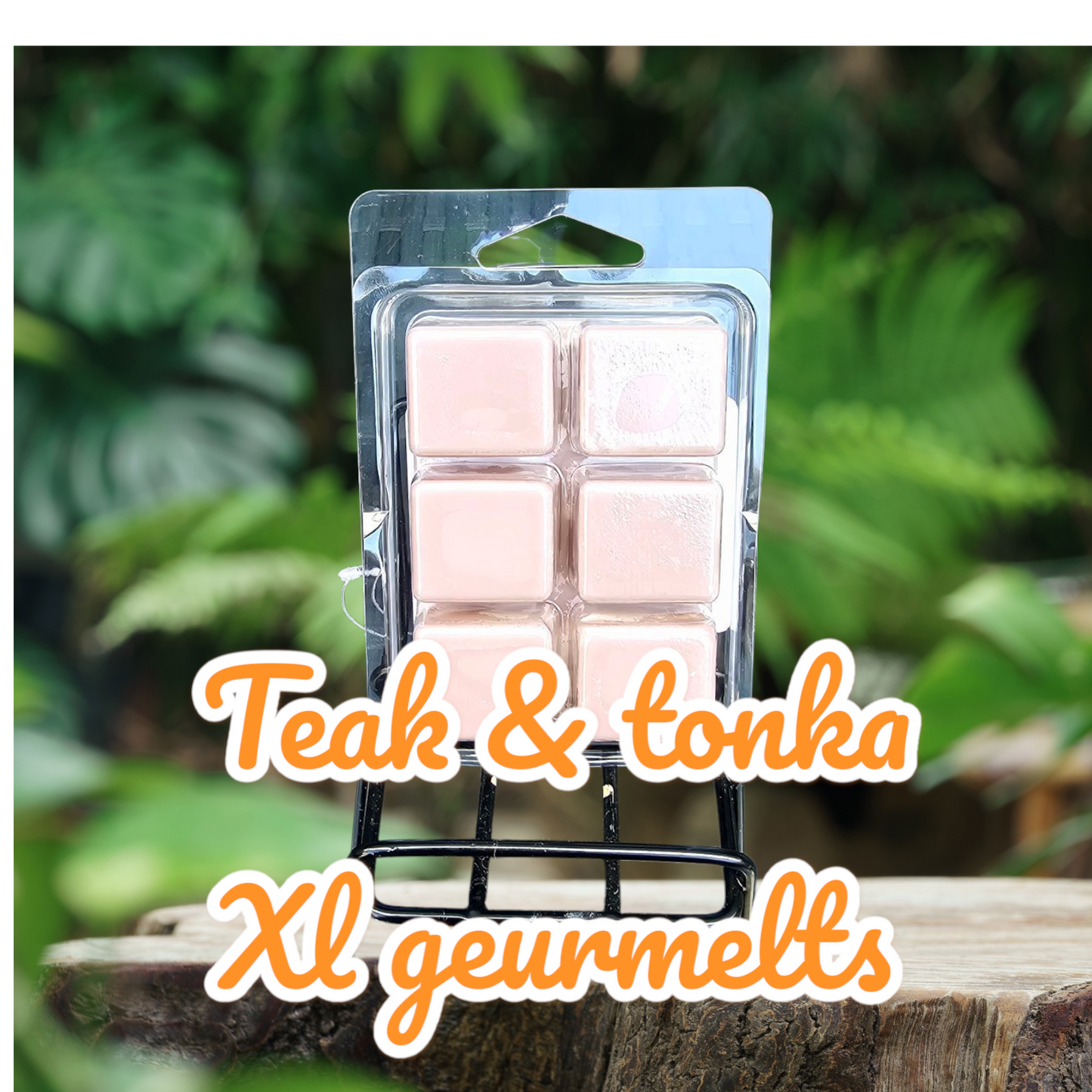 Esta teak & tonka 6 pack geurmelts