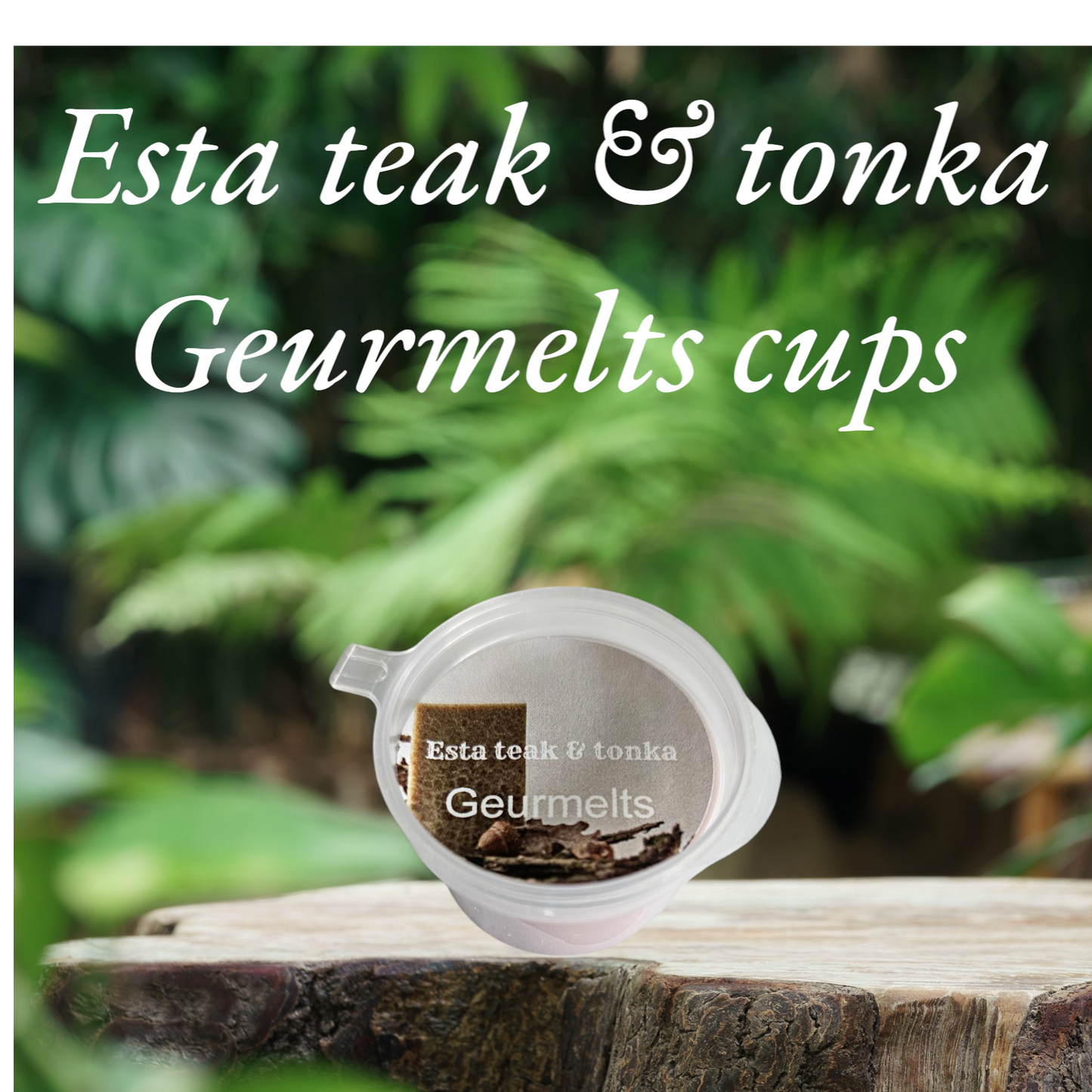 Esta teak & tonka geurmelts cups