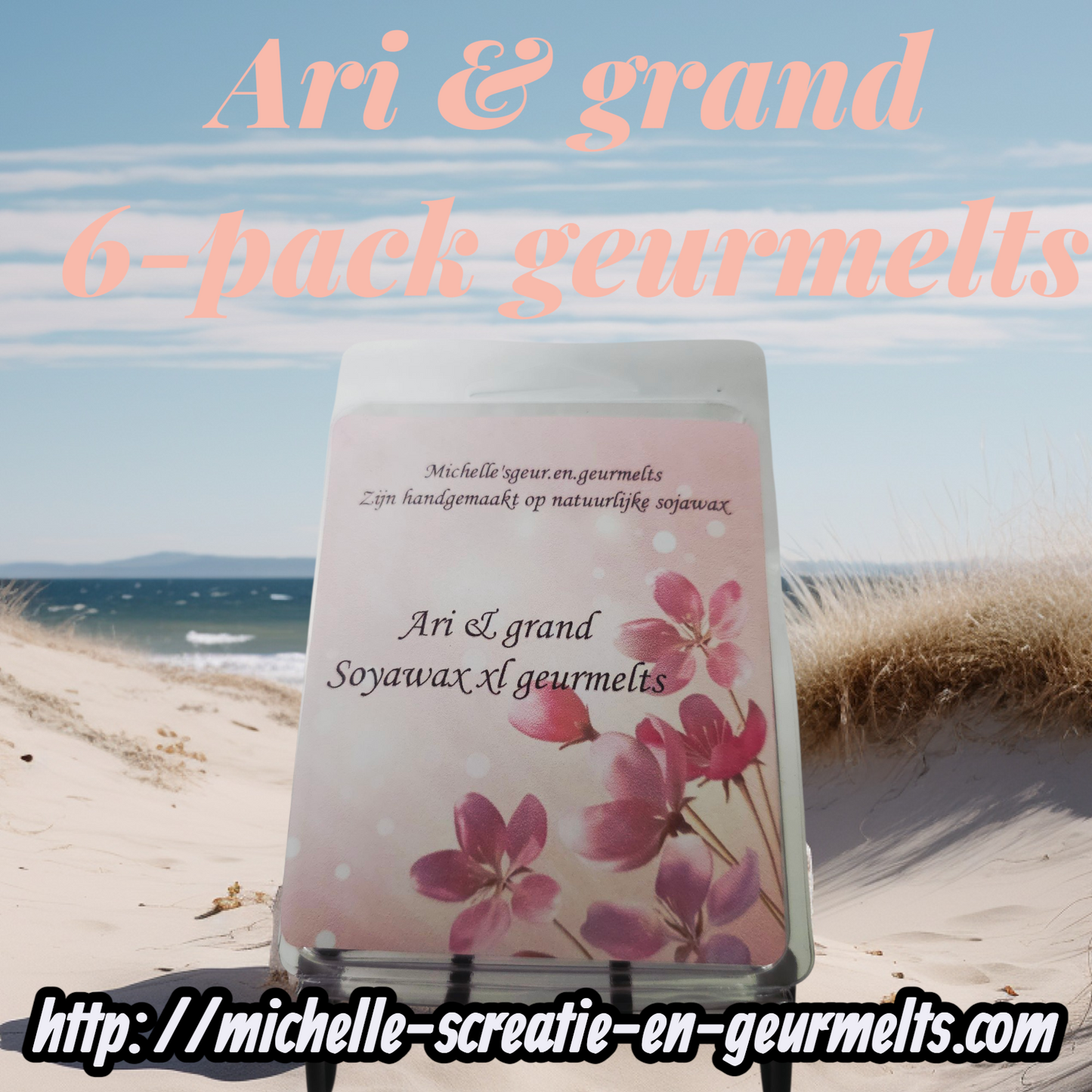 6-pack ari & grande geurmelts/scents