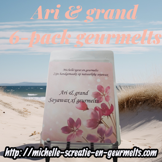 6-pack ari & grande geurmelts/scents