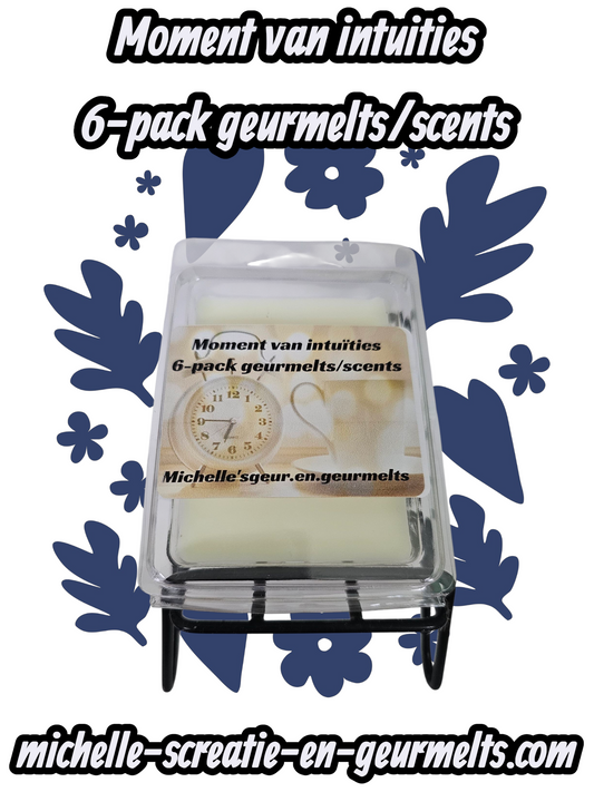 Moment van intuities 6-pack geurmelts/scents