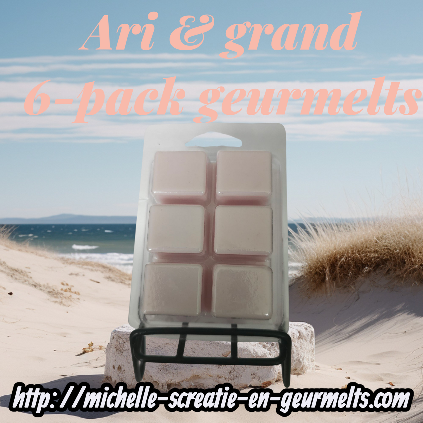 6-pack ari & grande geurmelts/scents