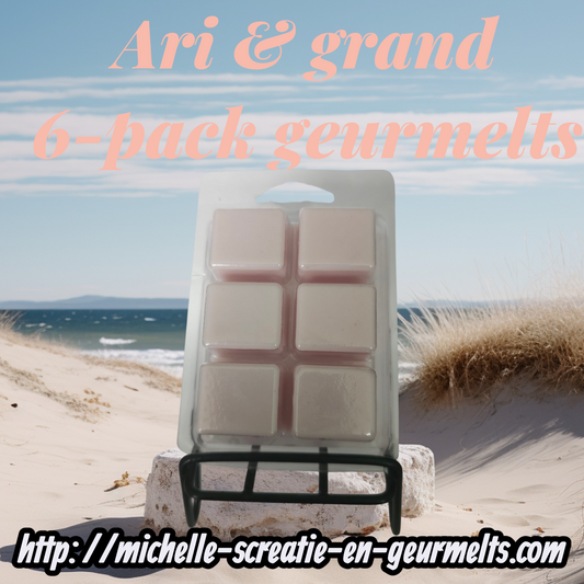 6-pack ari & grande geurmelts/scents