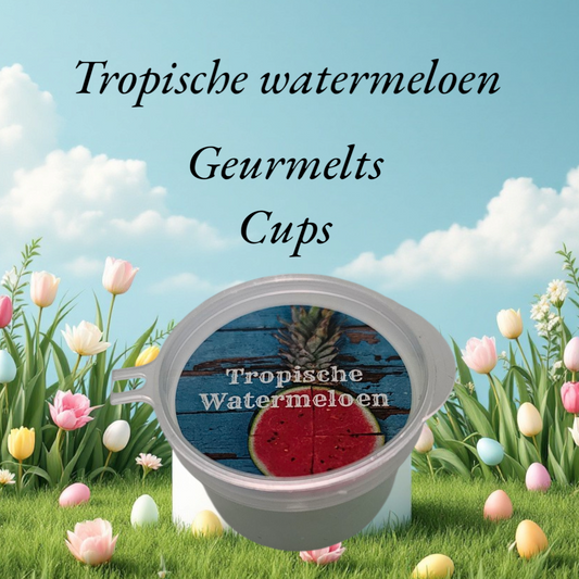 Tropische watermeloen geurmelts