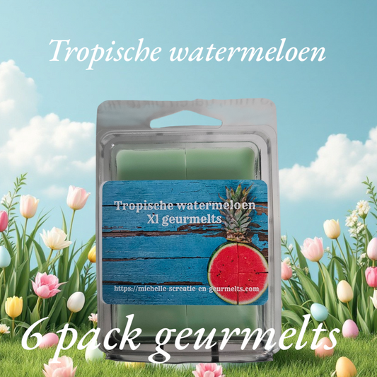 Tropische watermeloen 6-pack